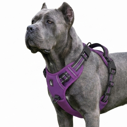 Szelki Bezuciskowe Dogshi™ Comfort Pro