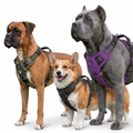 Szelki Bezuciskowe Dogshi™ Comfort Pro